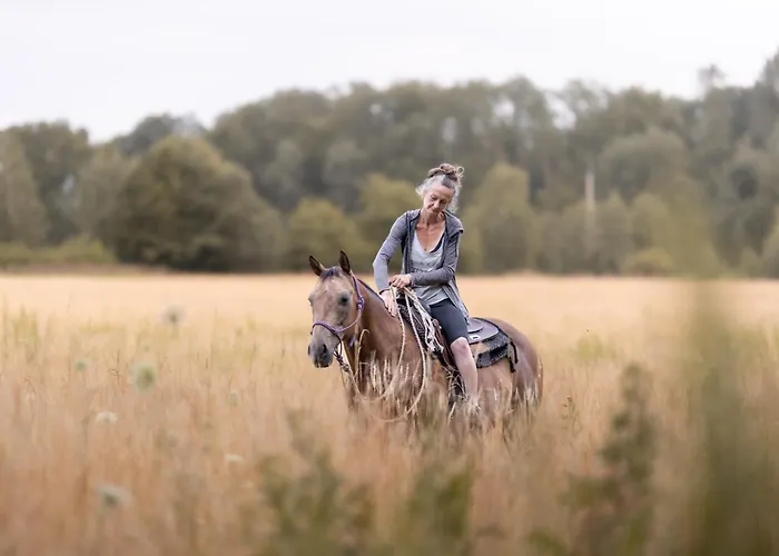 Ranczo Neverlandia 別荘 Lasowice (Milicz)