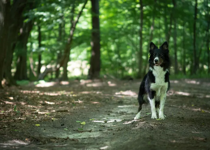 Ranczo Neverlandia *